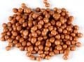 SÜTLÜ PİRİNÇ PATLAĞI 1/2KG